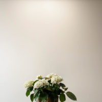 OLEV_GHOST_SMALL (1)_incasso_soffitto_faretto_design_led