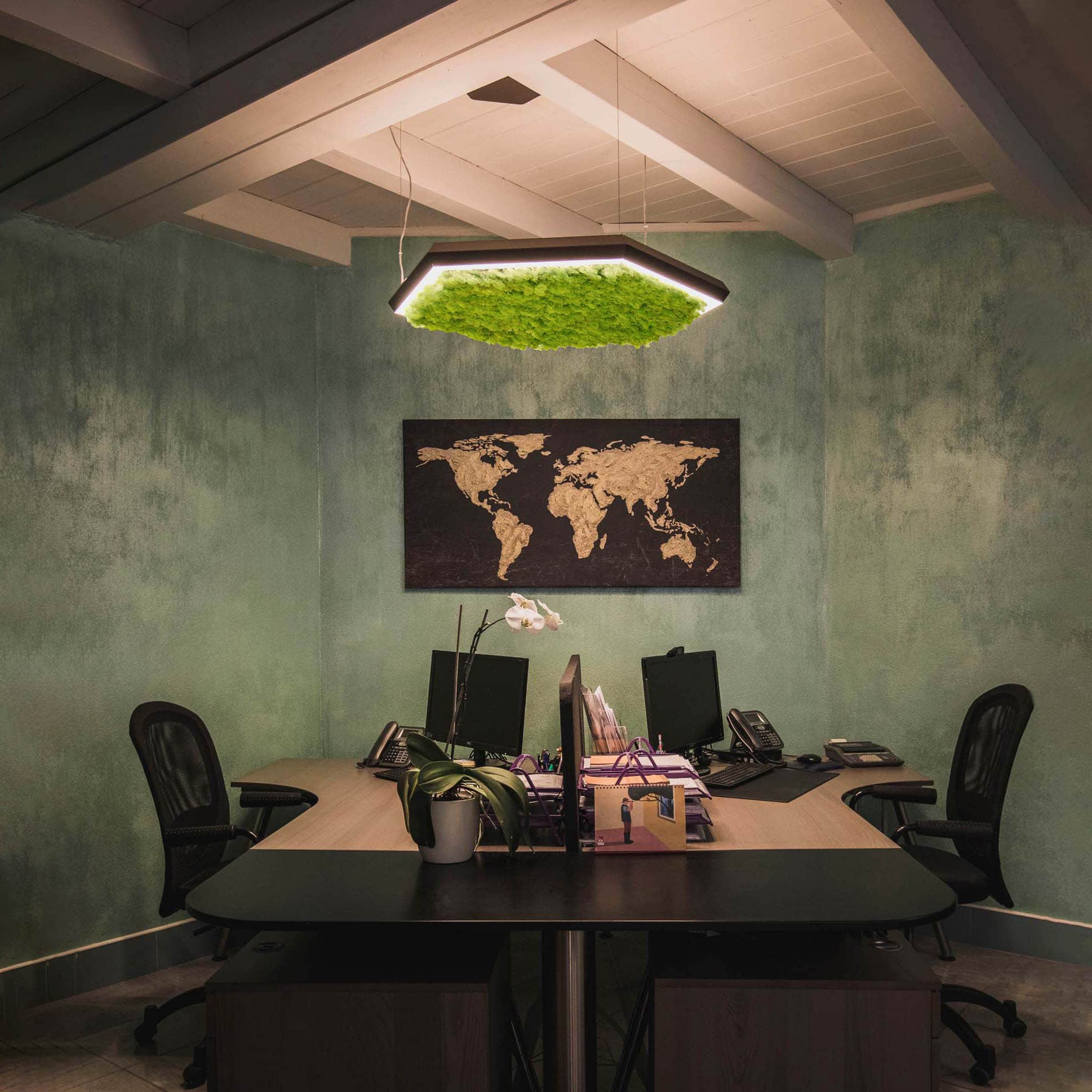 OLEV EXAGON SILENCE GREEN - lampada fonoassorbente con licheni per ufficio