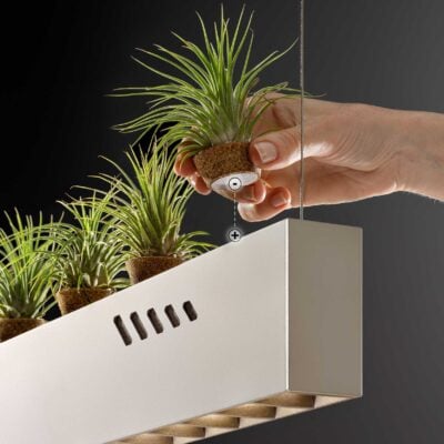 OLEV_PURE_BIOAIR (1)